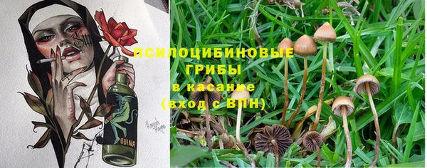 гашиш Мегион
