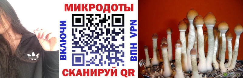 Псилоцибиновые грибы Magic Shrooms  Купить где  Назрань 