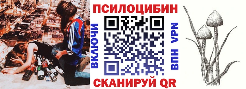 Псилоцибиновые грибы Cubensis Назрань
